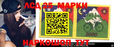 амф Новозыбков