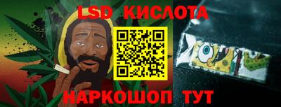 амф Новозыбков