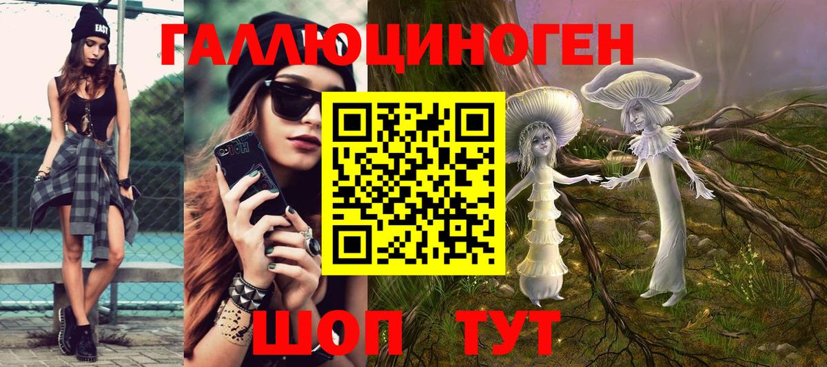 Галлюциногенные грибы Psilocybe Ухта