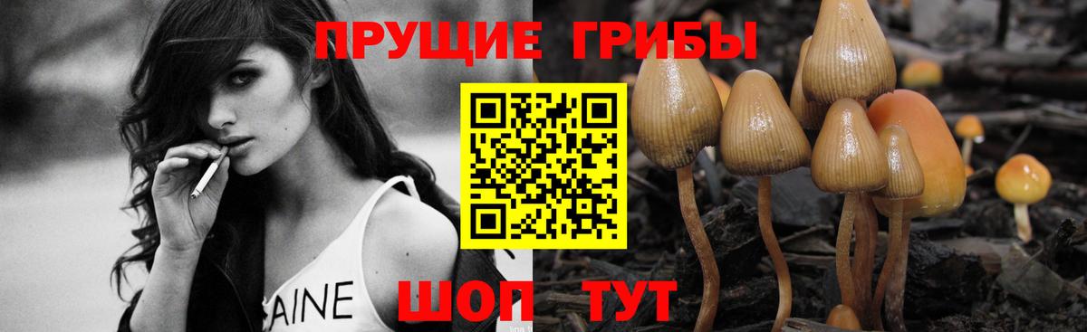 Галлюциногенные грибы Psilocybine cubensis  Вход с VPN  Ухта 